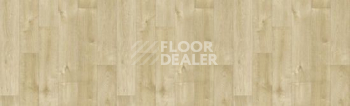 Линолеум Tarkett Bonus DUART 3 фото 1 | FLOORDEALER